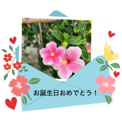 flower_20240128174946-2