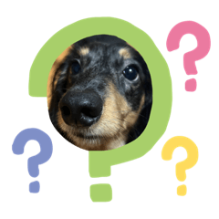 Yui_20240128232022 – LINE stickers | LINE STORE