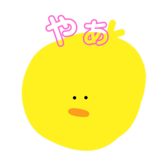TKR_20240129122924