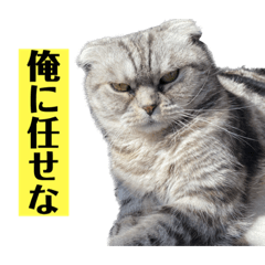 suzu_20240129152800