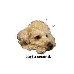 sak_20240127230540