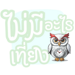 The wisdomist Owl's talk