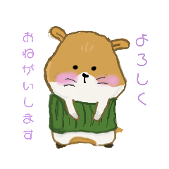 CAPO_belly band hamster
