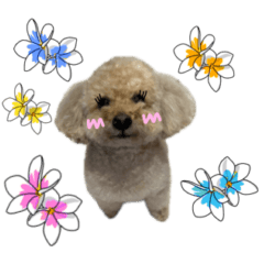 dog toy poodle cute