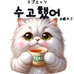 Persian cat Korean Hangul Sticker.