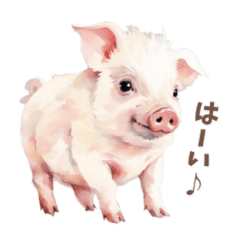 mini pig use