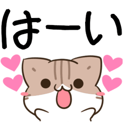 moving unmotivated calico cat Sticker19