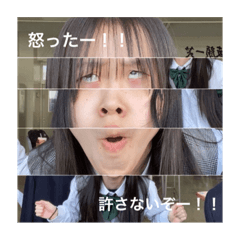 sakura_20240129194720