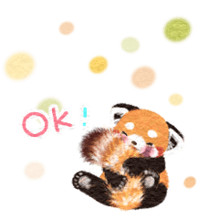 Red panda Pohe/ mini / English