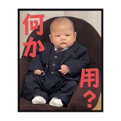 sakura_20240129213218