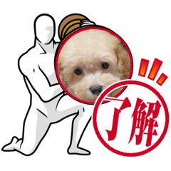 Junko_20240129213902