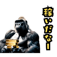 Golden Gorilla's daily conversation
