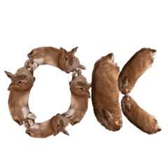 onigiriFace_20240130110155