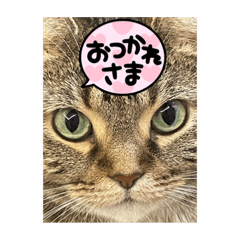 Sakura_20240130080442