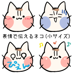 表情で伝えるネコ（小さいサイズ）