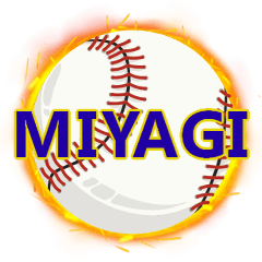 Baseball MIYAGI