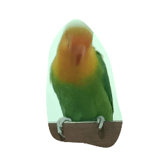 Stacy_20240131001441 – LINE stickers | LINE STORE