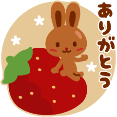 Chocolate Rabbit 18