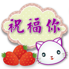 Cute white cat - Practical phrases