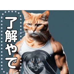 【筋肉ねこ】マッチョすぎる猫・関西弁