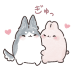 husky and rabbit couple