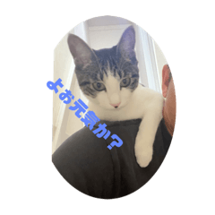 Hoshi family_20240131093723