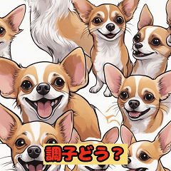 Chihuahua Moments Stickers
