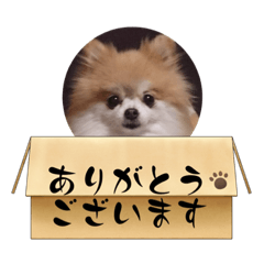 KANA_20240130185544