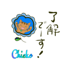 Cat and name  Chieko