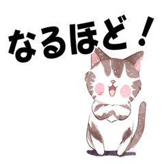 Cute Cat's Everyday Greetings.
