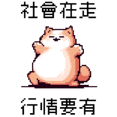 pixel party_8bit fat cat2