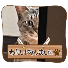 INOUEKAEDE_20240130201844