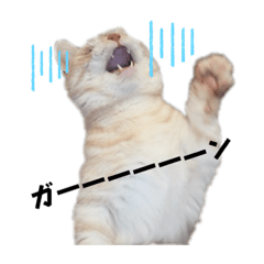 nyanchii_20240130202943