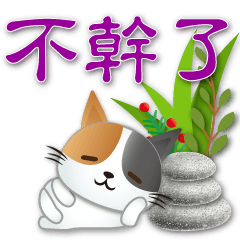 Cute cat - practical greetings every day