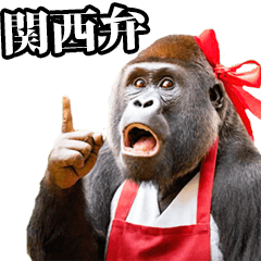 Female gorilla Kansai dialect