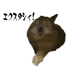 onigiriFace_20240131131559