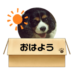 Rinrin_20240130230715