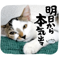 Sy_20240131172801