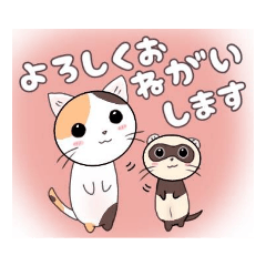猫&フェレット