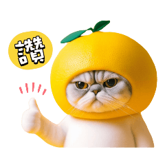 Lemon Cat 新年祝福貼圖