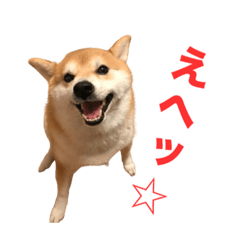 Shiba Inu Moco Stamp 2