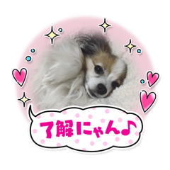 mitsuki_20240131222426