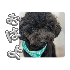 sayuri_20240131210749