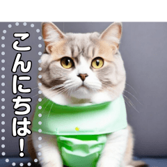 paper pants cat