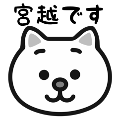 Miyagoshi cat stickers