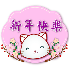Cute white cat--practical phrases