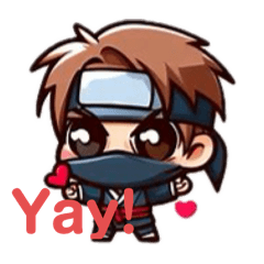Ninja Expressions_2024