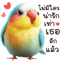 LOVE LOVE CUTE BIRD 2