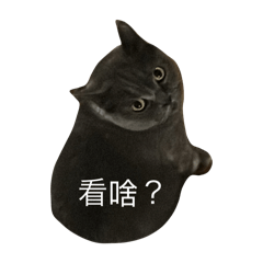 媽媽不會做貼圖