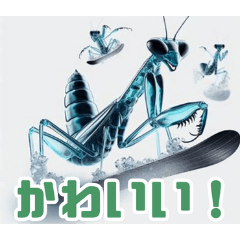 Playful Snow Mantis:Japanese